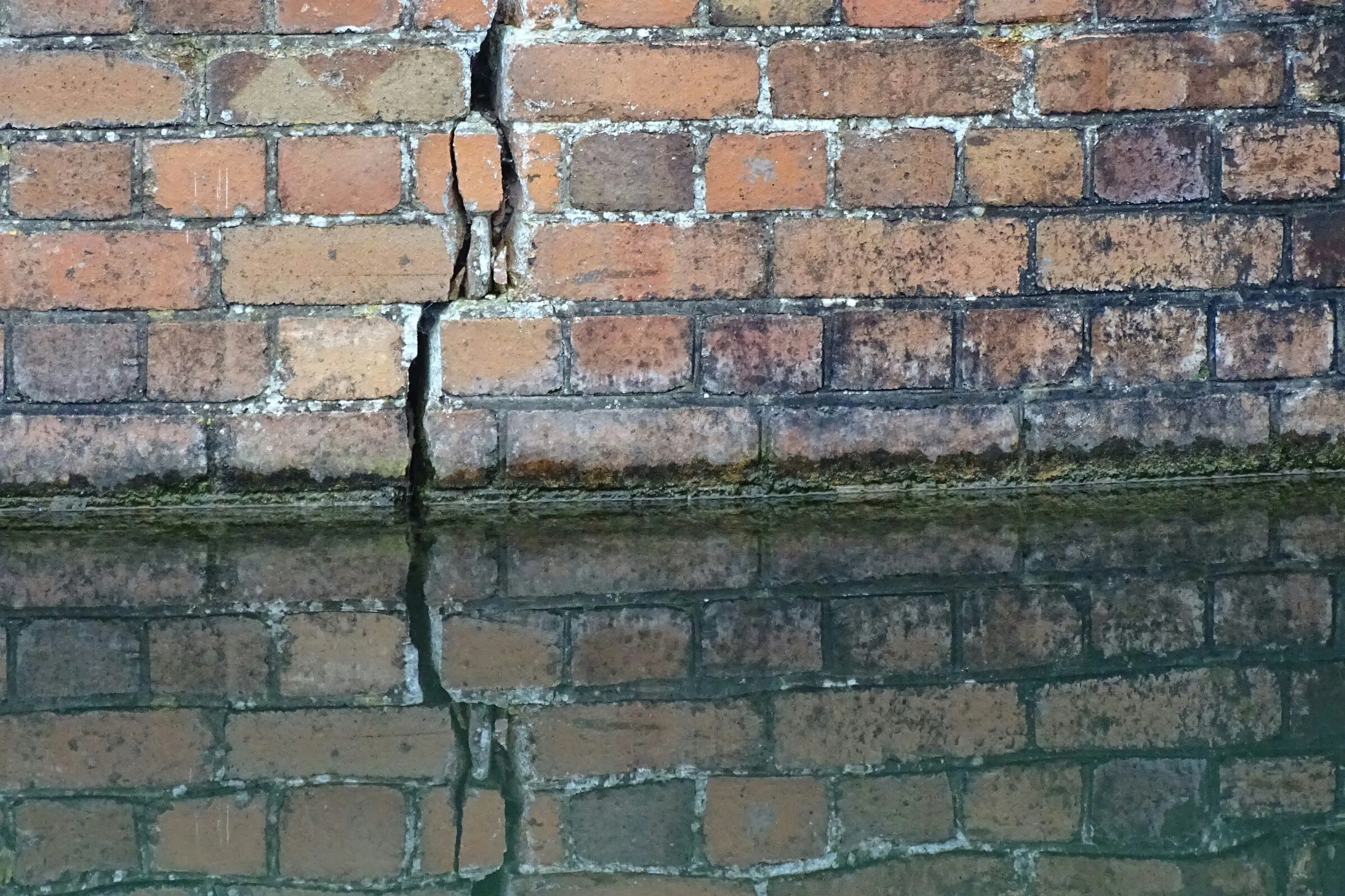 Fissure verticale dans la brique au bas d’un mur, par où une souris peut entrer