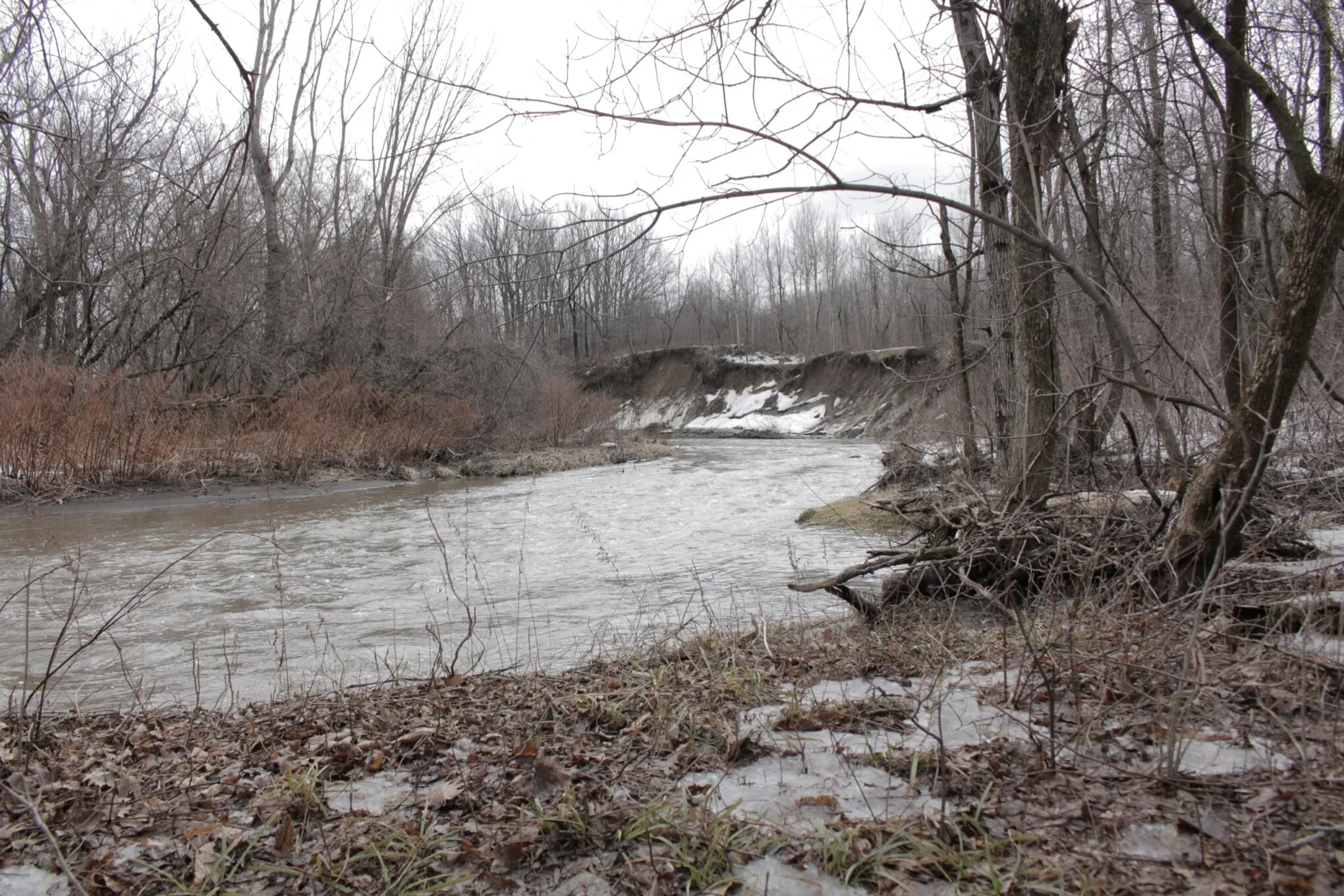 Rivière de la Tortue à Delson au début du printemps, berges boisées et arbres dénudés
