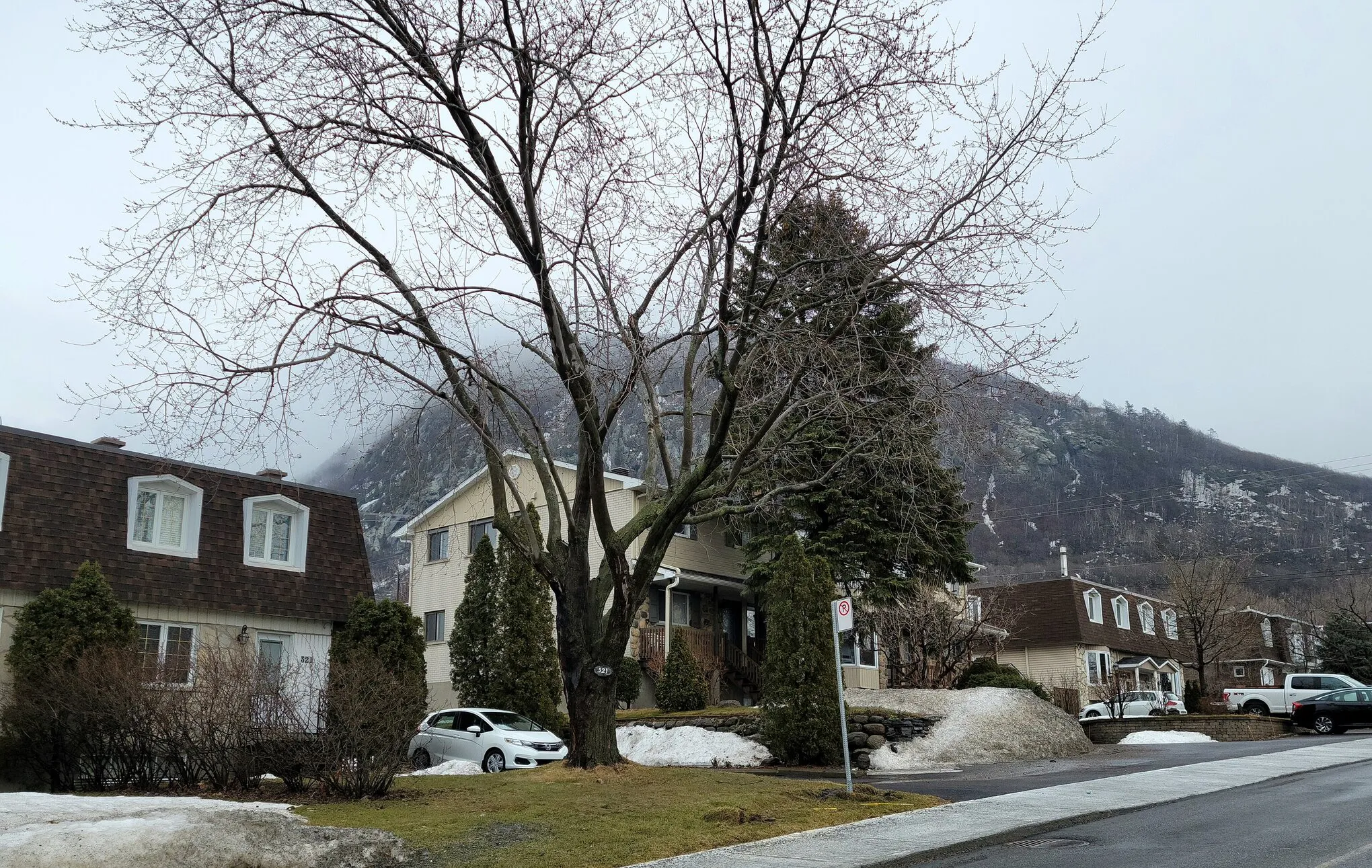 Maisons de la rue Radisson à Mont-Saint-Hilaire, le mont en arrière-plan, en fin d’hiver