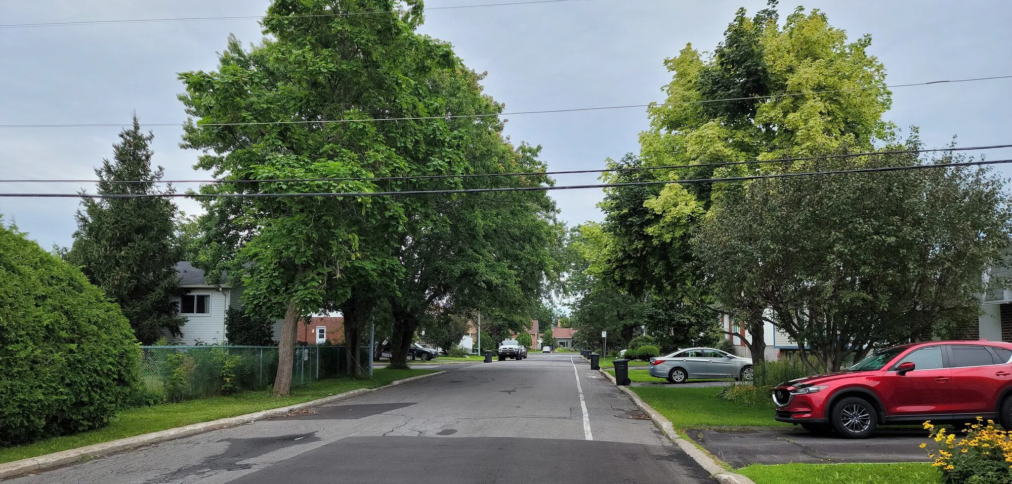 Rue résidentielle bordée d'arbres matures à Saint-Hubert